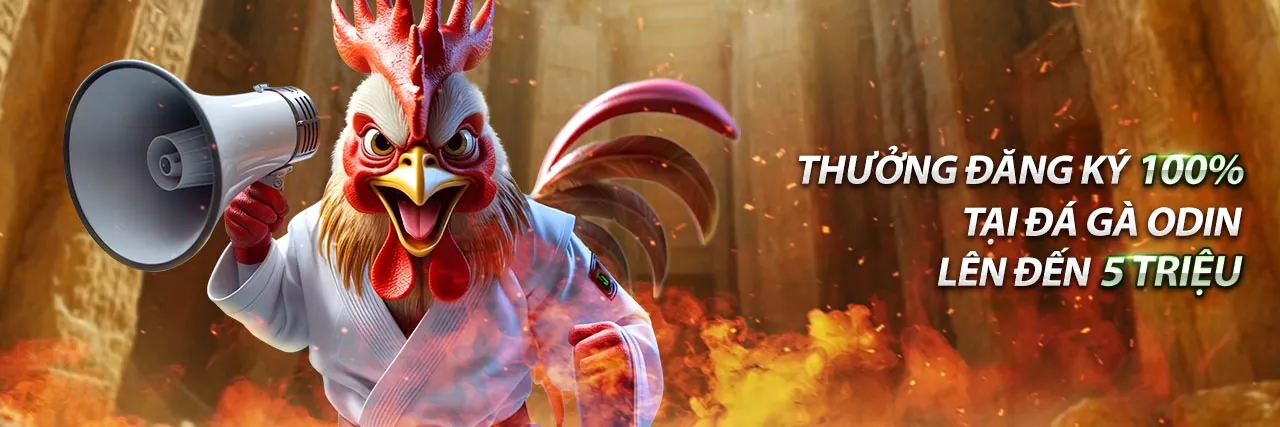 Hình ảnh giới thiệu về gk8888 casino, nền tảng cá cược trực tuyến hàng đầu